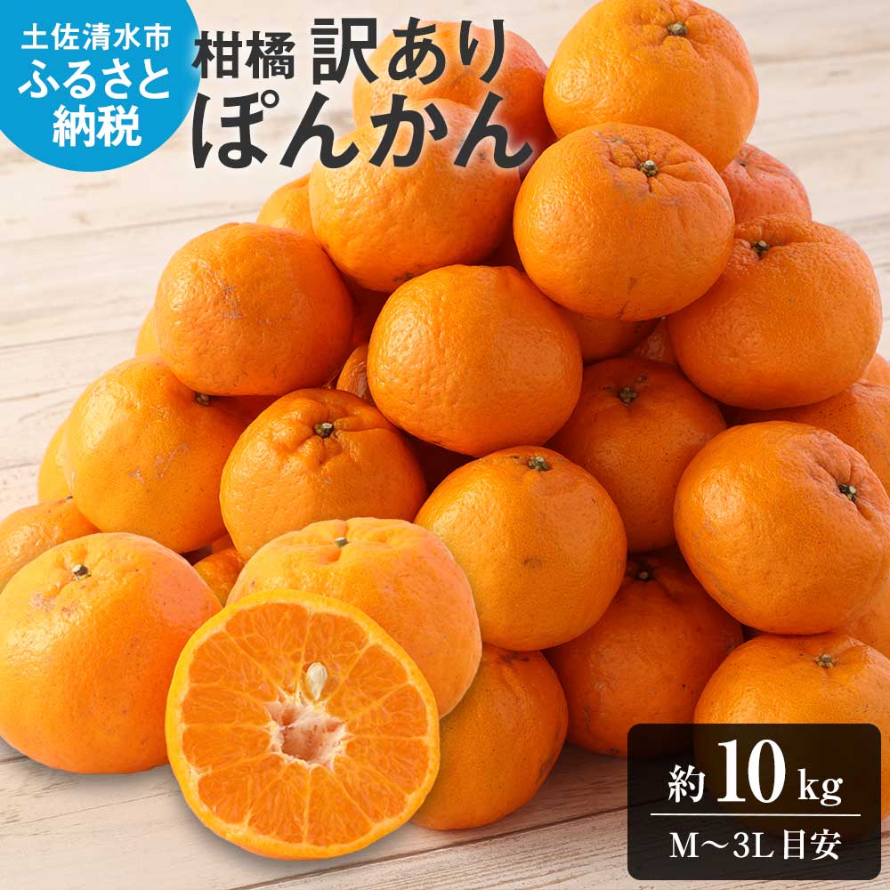 【令和8年発送】【訳あり】ぽんかん10kg（谷川果樹園）デコポンの親  みかん 蜜柑 ミカン 不知火 しらぬい 柑橘 かんきつ ポンカン フルーツ オレンジ 果物 くだもの 果汁 甘い【R01142】