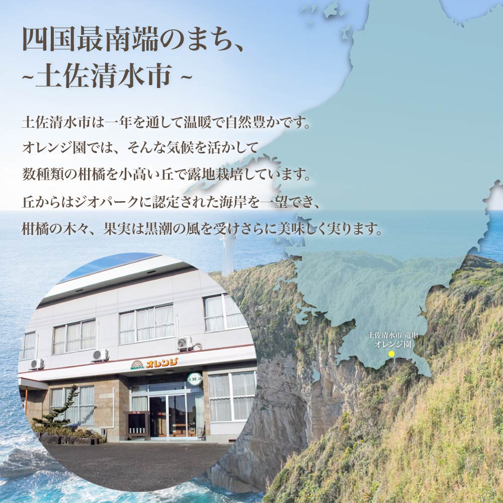 ã什åïŒå¹ŽçºéãïŒ èš³ããïŒ ãªã¬ã³ãžåã®ææ©3çš®ïŒãœãããã»ææŠã»å°å€ïŒå5kg 3åå®æäŸ¿ ãã³ã«ã³ ã¶ããã ããªã€ æç© èæ ã¿ãã ãã«ã³ ææ© ãã«ãŒã ãã¶ãŒã åœç£ åžžæž© é
éãJ00102ã