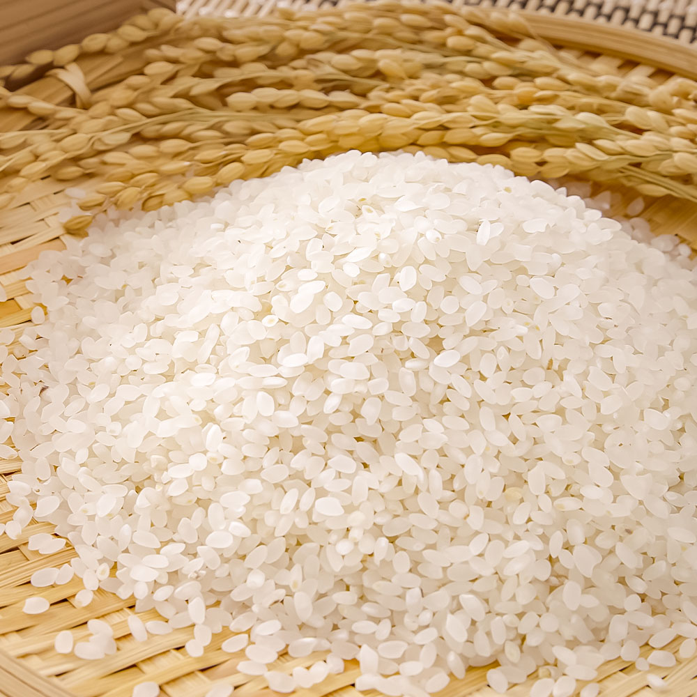 蟲家çŽéã什å8幎ç£ãã³ã·ãã«ãªã粟米ãïŒãã ãR01590ã