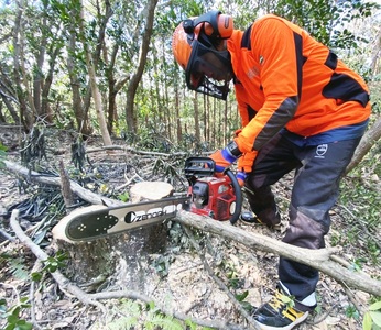 薪 約10kg（１箱）乾燥済 ウバメガシ うばめがし 約30cm 焚き火 たきび キャンプ 薪ストーブ 暖炉 囲炉裏 アウトドア バーベキュー BBQ 災害備蓄 防災グッズ 広葉樹【R00828】