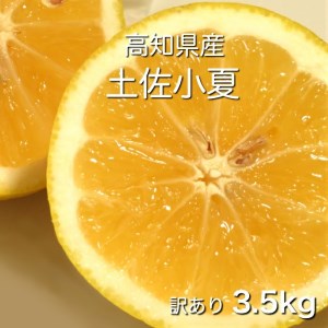 【令和８年５月発送】訳あり小夏3.5キロ（白浜農園の減農薬小夏） 柑橘 みかん フルーツ 日向夏 果物 ワケあり 傷 訳 家庭用 自宅用 特産【R01152】
