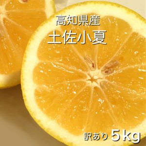 【令和８年５月発送】 訳あり 小夏5キロ （白浜農園の減農薬小夏）柑橘 みかん ミカン 果物 フルーツ 日向夏 おやつ デザート 美味しい ワケアリ ご自宅用【R01153】