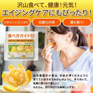 【令和８年５月発送】 訳あり 小夏5キロ （白浜農園の減農薬小夏）柑橘 みかん ミカン 果物 フルーツ 日向夏 おやつ デザート 美味しい ワケアリ ご自宅用【R01153】