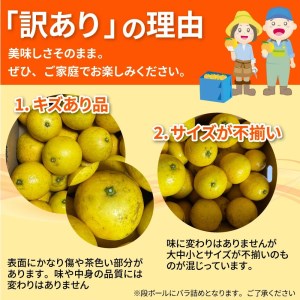 【令和８年５月発送】 訳あり 小夏5キロ （白浜農園の減農薬小夏）柑橘 みかん ミカン 果物 フルーツ 日向夏 おやつ デザート 美味しい ワケアリ ご自宅用【R01153】