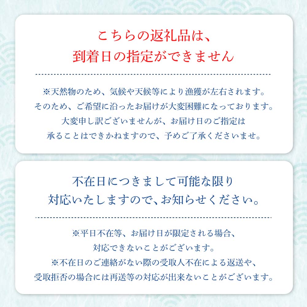 天然ブリ1本（5kg～）下処理なし まるごと直送便【令和8年3月以降発送※着日指定不可】 鮮魚 刺身 たたき ぶりしゃぶ ぶり大根 ぶり 1本 1匹 1尾 天然 ブリ 鰤 冷蔵【R01211】