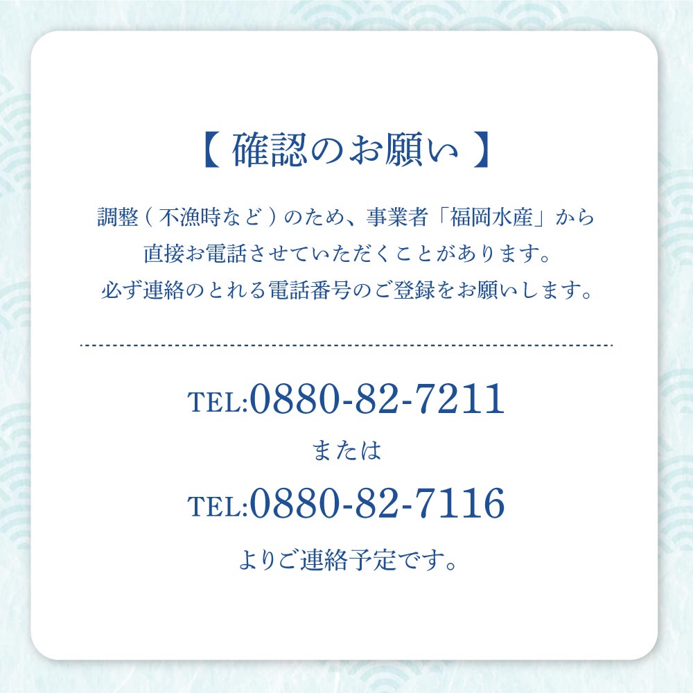 天然ブリ1本（5kg～）下処理なし まるごと直送便【令和8年3月以降発送※着日指定不可】 鮮魚 刺身 たたき ぶりしゃぶ ぶり大根 ぶり 1本 1匹 1尾 天然 ブリ 鰤 冷蔵【R01211】
