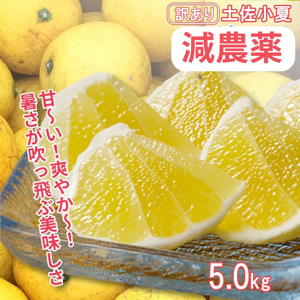 【令和８年５月発送】 訳あり 小夏5キロ （白浜農園の減農薬小夏）柑橘 みかん ミカン 果物 フルーツ 日向夏 おやつ デザート 美味しい ワケアリ ご自宅用【R01153】
