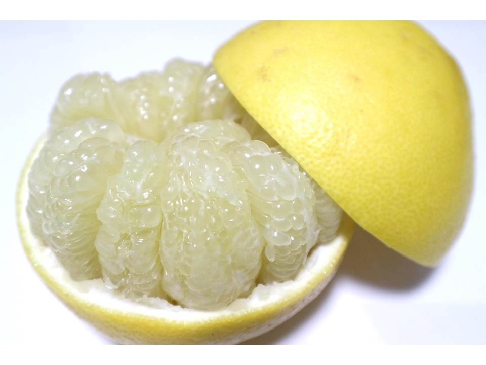 ãR8幎çºéãæ©å·èŸ²åã®åäœææŠïŒ10kgïŒææ© ãã«ãŒã ã¿ãã ã¶ãã³ ã¶ããã ãã³ã¿ã³ æå® æç© ãã ãã® ãã«ãŒã ãã¶ãŒã ææ©é¡ ãããã å®¶åºçš 10ãããR01373ã