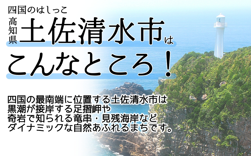 米 コシヒカリ 2025年8月より順次発送 令和7年産 新米 内容量10kg 3回定期便  白米 精米 お米 ご飯 ごはん おにぎり こめ こしひかり 高知県産 美味しい おいしい  常温  故郷納税 高知 土佐清水市【J00200】