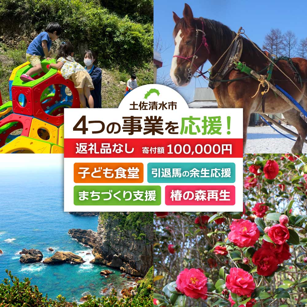 一括寄附で4つの事業を応援！返礼品なし 100,000円（子ども食堂・引退馬の余生応援・椿の森再生・まちづくり支援）10万円 子供 子育て 福祉 動物保護 自然保護 環境整備 教育 自然【R01226】