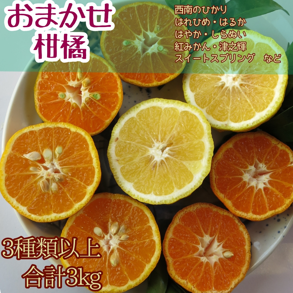 令和8年12月下旬から発送 先行受付 訳あり みかん３種類以上（合計３kg）おまかせ 食べ比べセット栽培期間中無農薬 お楽しみ 柑橘 ミカン 果物 果実 フルーツ おやつ デザート 健康 美味しい ワケアリ ご自宅用 国産【R01592】