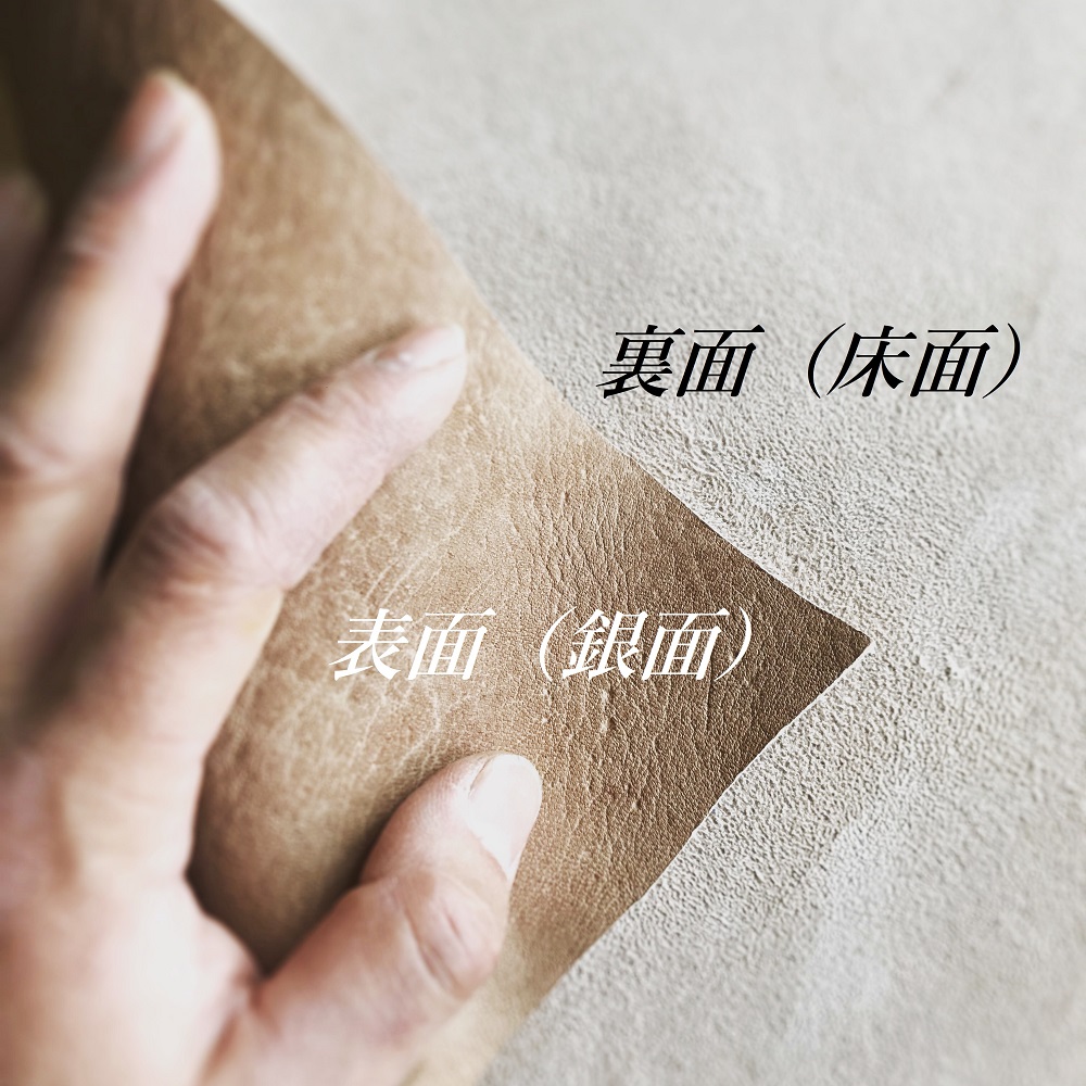 鹿é©ãã¬ã¹ã¬ãã â»ç£šãåºé¢ä»äžãïŒè£é¢ïŒä»äžãâ»ãMãµã€ãºã鹿è§ããŒãºä» ã¬ã¶ãŒã¢ã¯ã»ãµãªãŒ é©å°ç© é© æ€ç©ã¿ã³ãã³ãªããé©äœ¿çš é«ç¥çãR00305-5ã
