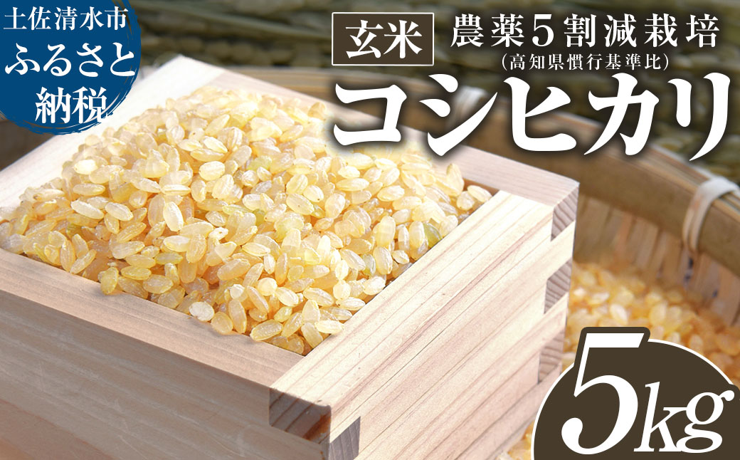 【令和８年産】新米　玄米 コシヒカリ 5キロ お米 おこめ  ごはん 飯 こしひかり ブランド米 農薬5割減栽培 おいしい 国産 土佐清水産 送料無料 高知県 土佐清水市 故郷納税 返礼品 高知【R01598】