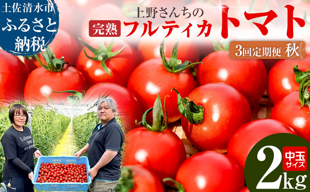 完熟フルティカトマト2kg（中玉サイズ）3回定期便 秋 10月/11月/12月にお届け 天然地下水使用  甘熟ミディトマト フルーツトマト とまと 2000g 2キロ 野菜 サラダ 料理 美味しい 甘い ギフト 国産 高知県 土佐清水市【J00224】