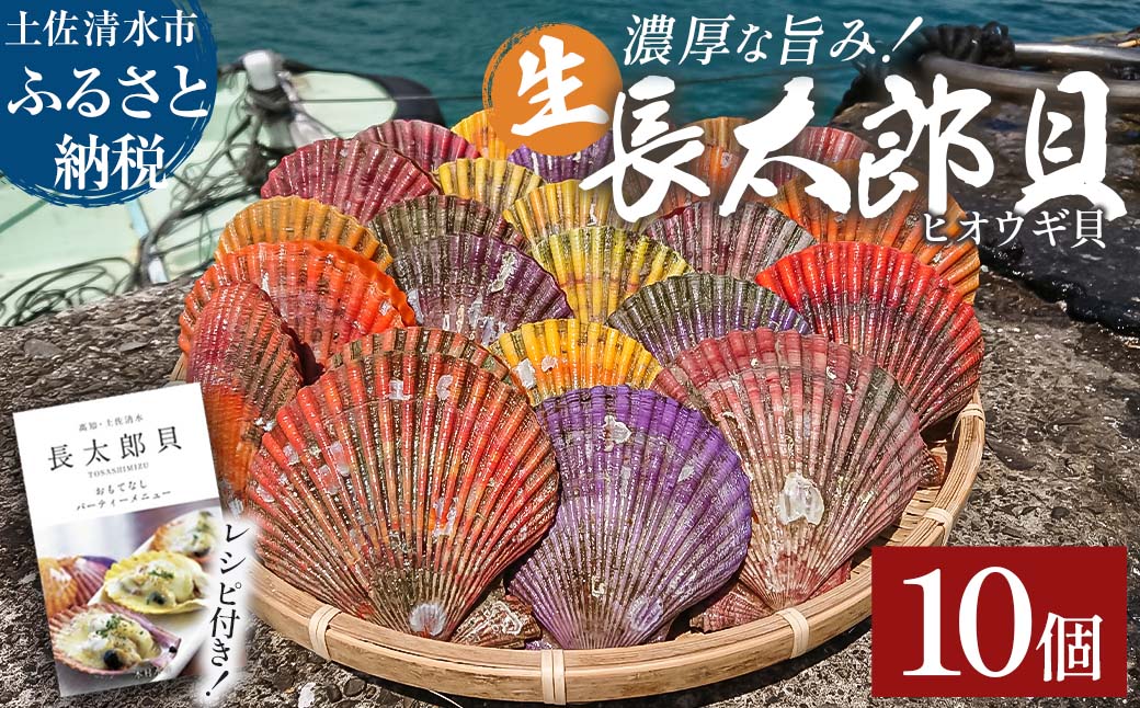 【9月発送】ヒオウギ貝10個セット（ホタテの仲間）アウトドア キャンプ 海鮮BBQ 魚貝 生 貝殻付 活 貝柱 酒蒸し バーベキュー【R00082】