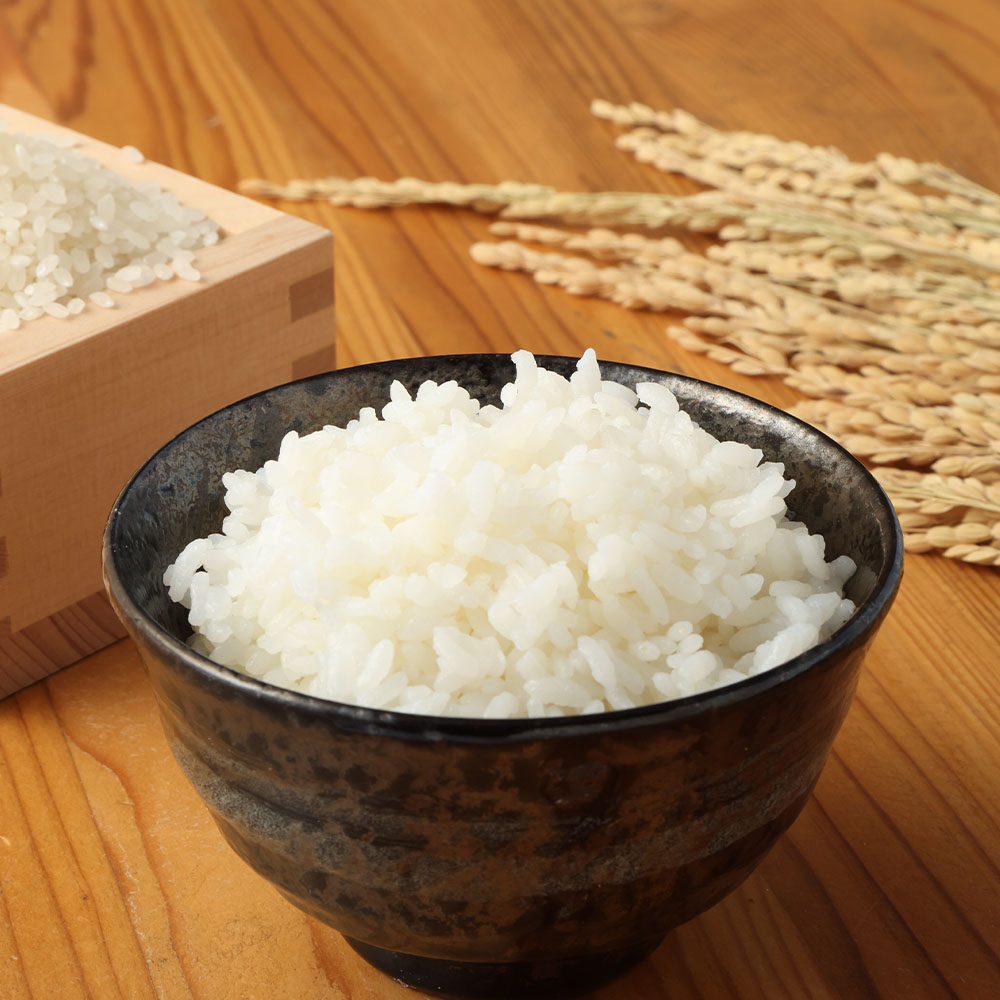 莉、蜥8蟷エ逕」 譁ー邀ウ 繧ウ繧キ繝偵き繝ェ邊セ邀ウ10kg 逋ス邀ウ 縺顔アウ 縺秘」ッ 邀ウ kome 縺薙a 繧ウ繧キ繝偵き繝ェ 縺薙@縺イ縺九j 鬮倡衍逵檎肇 10繧ュ繝ュ 謨驛キ邏咲ィ 霑皮、シ蜩 鬮倡衍 蝨滉ス先ク豌エ蟶 縲審01623縲