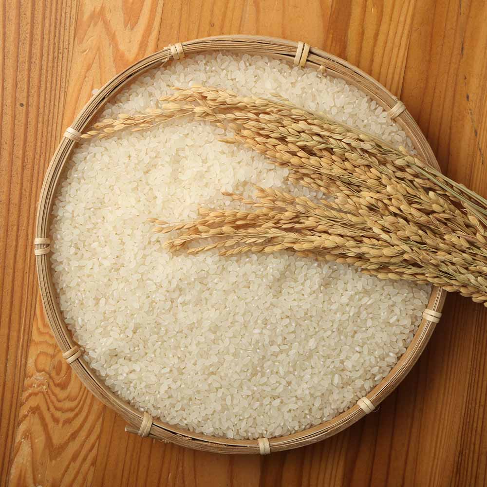莉、蜥8蟷エ逕」 譁ー邀ウ 繧ウ繧キ繝偵き繝ェ邊セ邀ウ10kg 逋ス邀ウ 縺顔アウ 縺秘」ッ 邀ウ kome 縺薙a 繧ウ繧キ繝偵き繝ェ 縺薙@縺イ縺九j 鬮倡衍逵檎肇 10繧ュ繝ュ 謨驛キ邏咲ィ 霑皮、シ蜩 鬮倡衍 蝨滉ス先ク豌エ蟶 縲審01623縲
