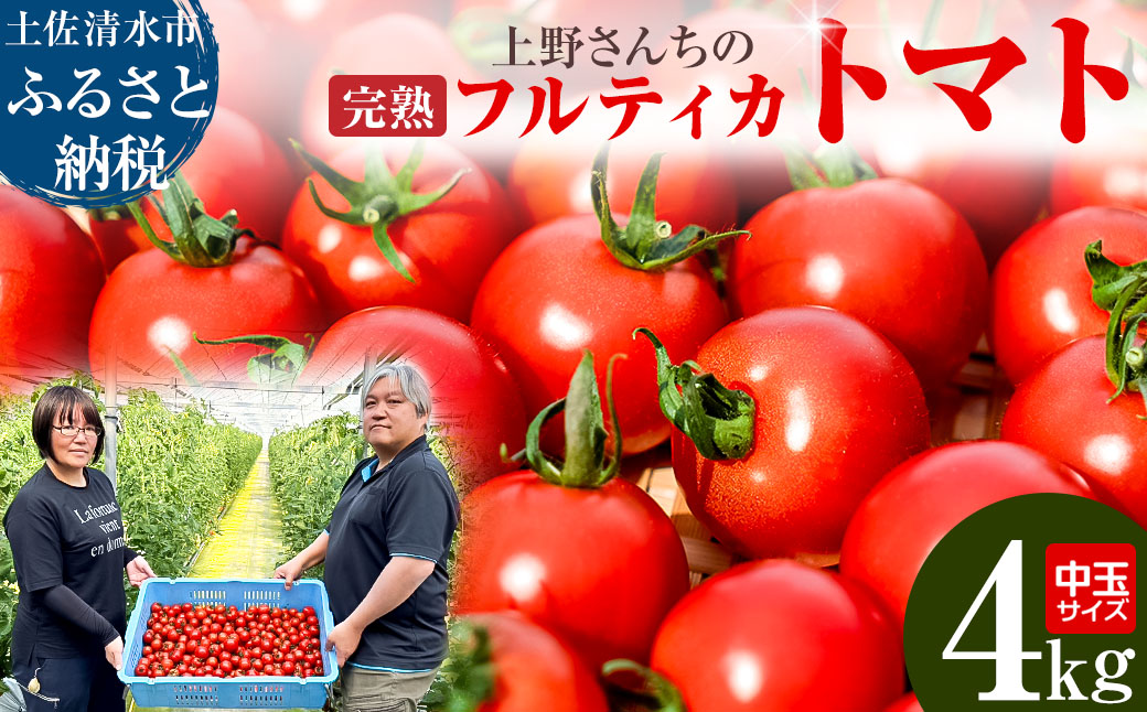 完熟フルティカトマト4kg（中玉サイズ）天然地下水使用  甘熟ミディトマト フルーツトマト とまと 4000g 4キロ 野菜 サラダ 料理 ギフト 国産 高知県 土佐清水市【R00559】