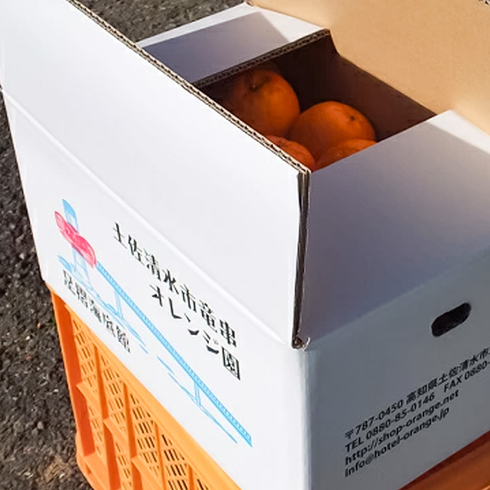 【令和８年1月下旬以降発送】＜訳あり＞ぽんかん５kg（オレンジ園） デコポンの親 みかん ミカン 果物 果実 柑橘 フルーツ ポンカン でこぽん おやつ デザート 甘い 美味しい 家庭用 名物 国産【R01080】