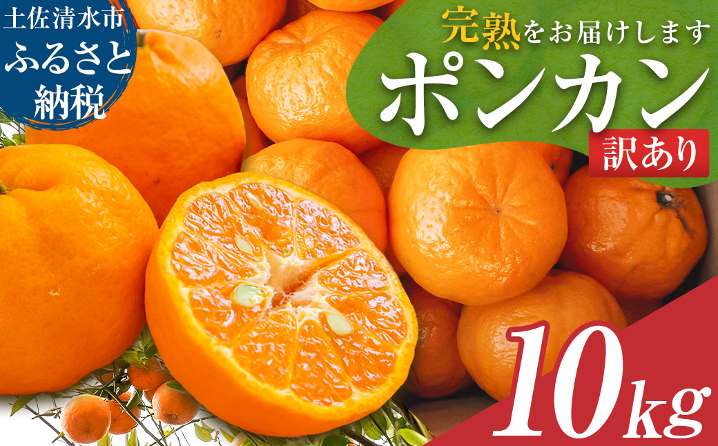 【令和9年発送】＜訳あり＞ぽんかん10kg（オレンジ園）10キロ  デコポンの親 みかん ミカン 果物 果実 柑橘 フルーツ おやつ デザート ジューシー 甘い 美味しい 健康 家庭用 国産【R01081】