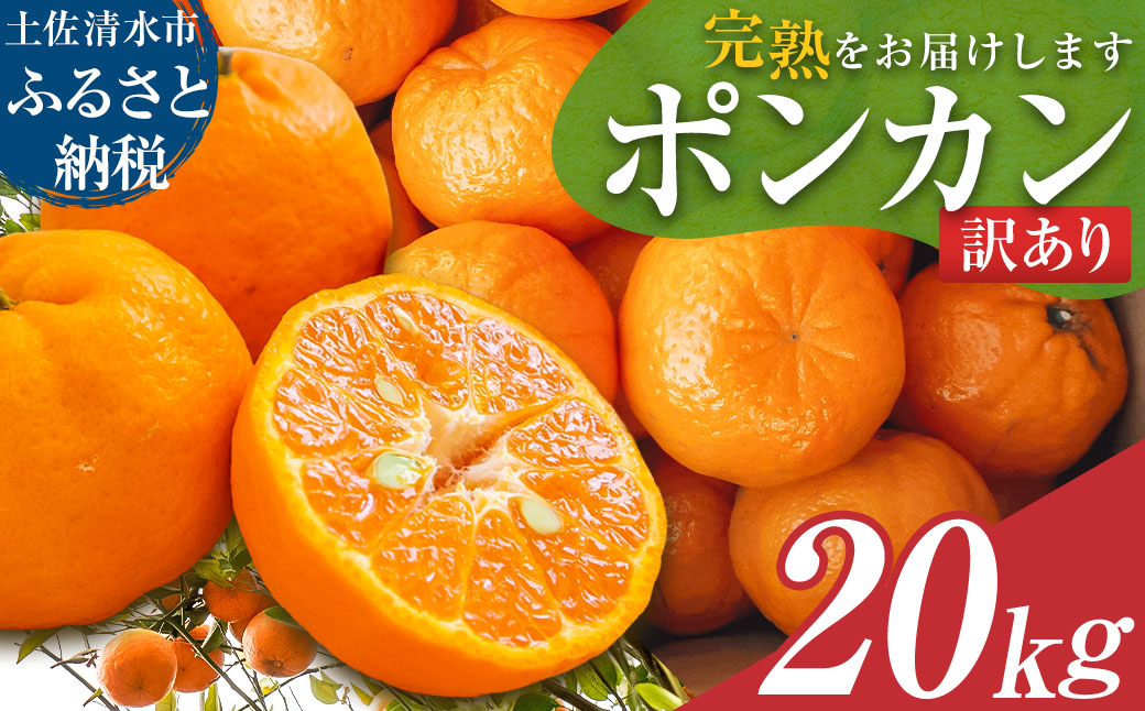 【令和9年発送】＜訳あり＞ ぽんかん20kg（オレンジ園） デコポンの親 みかん ミカン 果物 果実 柑橘 フルーツ ポンカン でこぽん おやつ デザート 甘い 美味しい 家庭用 名物 国産【R01082】