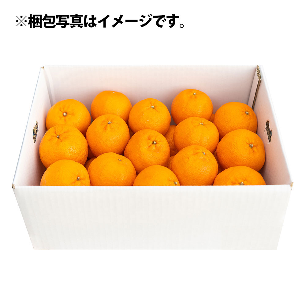 ã什å8幎çºéããœããã ïŒkgïŒè°·å·ææš¹åïŒãã³ãã³ã®èŠª ã¿ãã èæ ãã«ã³ äžç¥ç« ããã¬ã ææ© ããã〠ãã³ã«ã³ ãã«ãŒã ãªã¬ã³ãž æç© ãã ãã® ææ± çããR01376ã