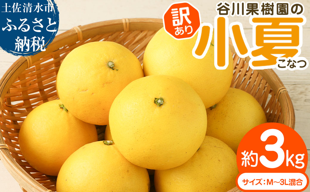 令和9年4月中旬以降発送【訳あり】谷川果樹園の小夏3kg 日向夏 みかん 柑橘 フルーツ こなつ ニューサマーオレンジ  果物 美味しい ワケあり 訳 自宅用 おやつ  高知 【R01146】