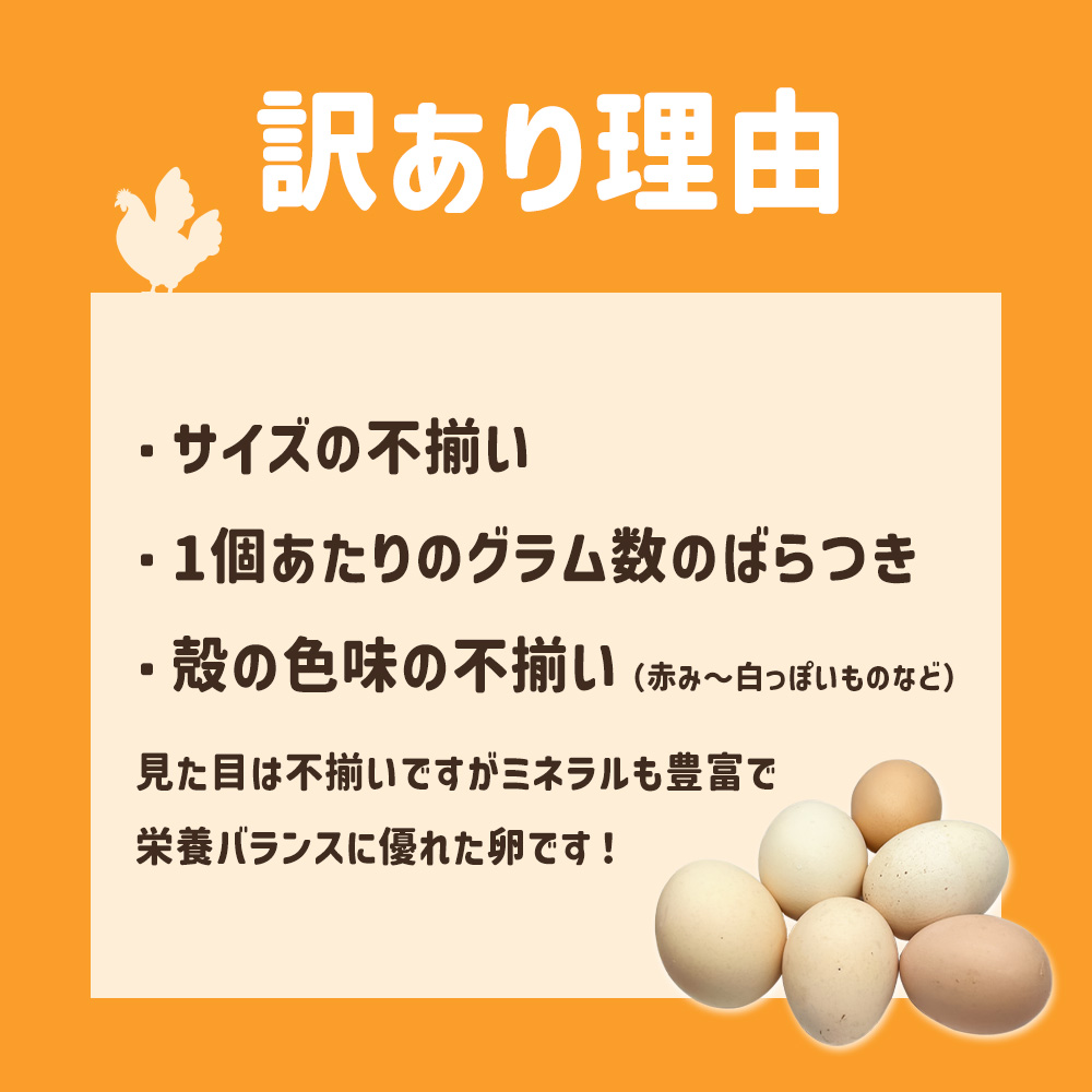 ましくんの完全放し飼い土佐ジローの卵 18個入り 訳あり 不揃い 規格外 ブランド卵 タマゴ 玉子 たまご 生卵 鶏卵 土佐地鶏 濃厚 新鮮 食品 訳アリ 自宅用 ご家庭用【R01217】