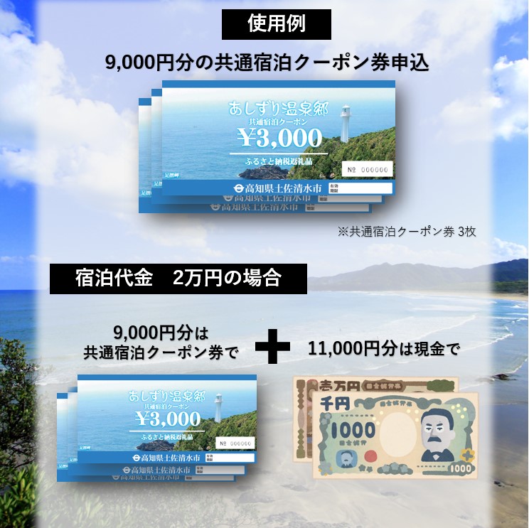 あしずり温泉郷 共通宿泊クーポン券 3,000円分 あしずり温泉郷 旅行券 トラベル ペア 家族 温泉 ホテル 観光 旅行 国内旅行 宿泊 宿泊施設 自然 旅館 高知県 土佐清水市【R01313】