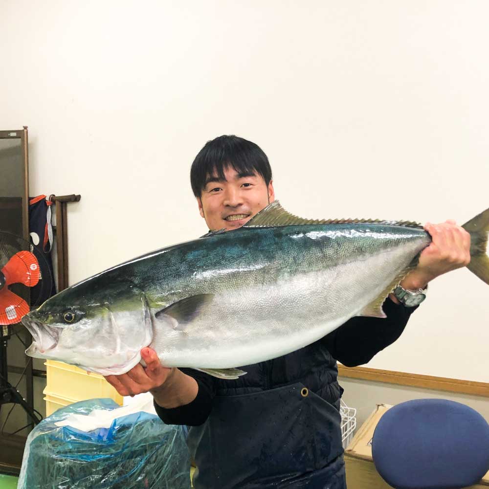 ブリの藁焼きたたき 3本（3~4人前）タレ付きのセット ぶり 鰤 わら焼き タタキ たれ付き 宗田かつおのうまみぽん酢 魚 海鮮 シーフード 魚介 刺身 新鮮【R01337】