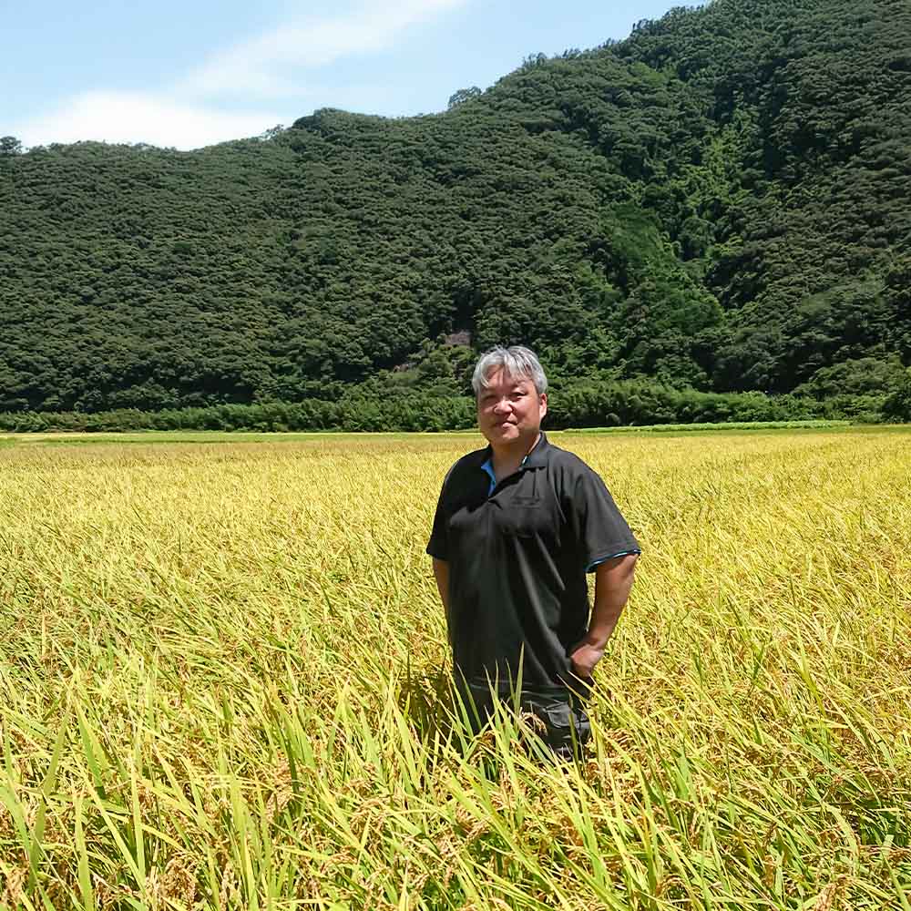 2025年8月より順次発送 令和7年産 新米 コシヒカリ 精米 5kg 白米 お米 ご飯 ごはん おにぎり 米 こめ こしひかり 高知県産 美味しい おいしい【R01359】