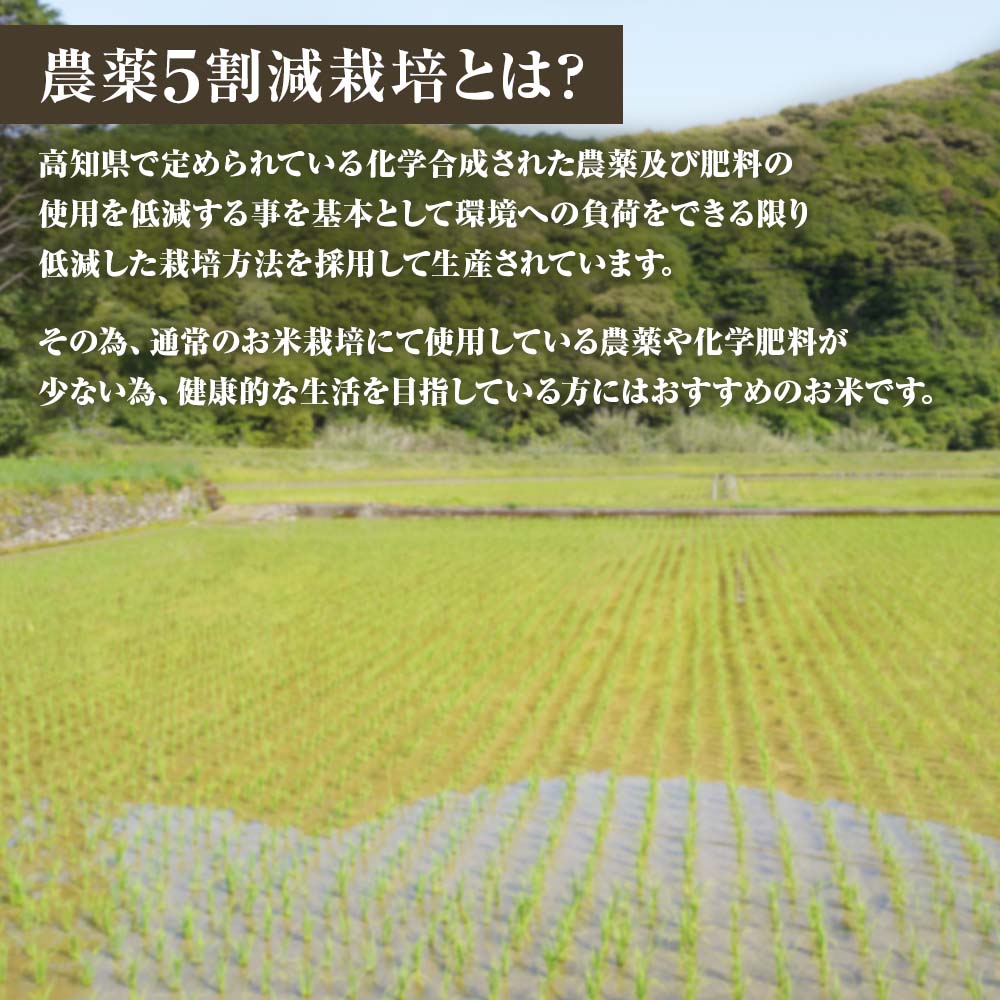 ã什åïŒå¹Žç£ãæ°ç±³ãçç±³ ã³ã·ãã«ãª 5ãã ãç±³ ããã ãã¯ã 飯 ããã²ãã ãã©ã³ãç±³ 蟲è¬5岿žæ œå¹ ãããã åœç£ åäœæž
æ°Žç£ éæç¡æ é«ç¥ç åäœæž
æ°Žåž æ
é·çŽçš è¿ç€Œå é«ç¥ãR01598ã