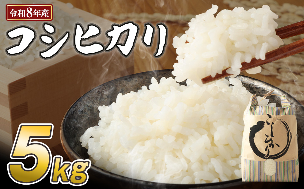 令和8年産 新米 コシヒカリ精米5kg（1袋）白米 お米 ご飯 米 kome こめ コシヒカリ こしひかり 高知県産 5キロ 故郷納税 返礼品 高知 土佐清水市 【R01408】