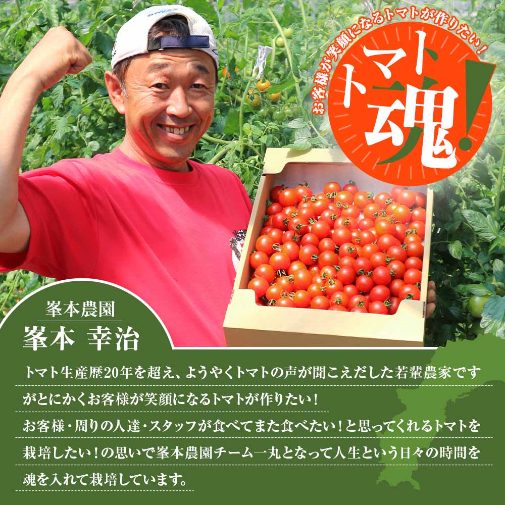 トマト魂！峯本の贅沢フルティカトマト（中玉サイズ）1kg 1キロ ミディトマト フルーツトマト トマト ふるさと納税 フルティカ とまと サラダ 野菜 美味しい 甘い【R01409】