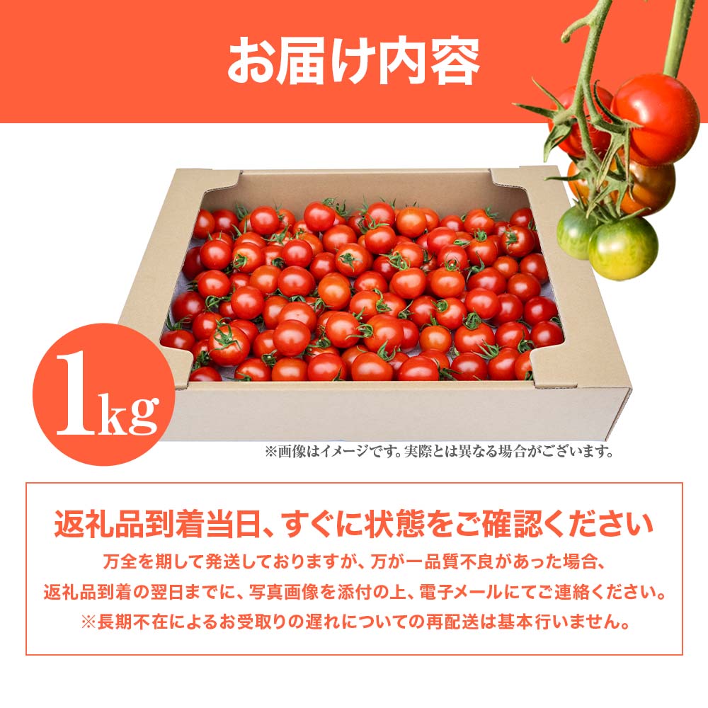 トマト魂！峯本の贅沢フルティカトマト（中玉サイズ）1kg 1キロ ミディトマト フルーツトマト トマト ふるさと納税 フルティカ とまと サラダ 野菜 美味しい 甘い【R01409】