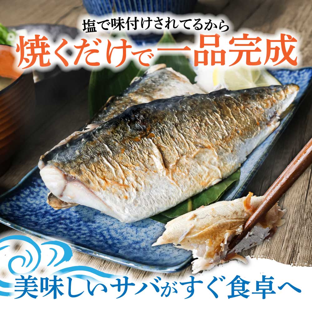 險ウ縺ゅj 蝪ゥ繧オ繝 1kg 邏6譫 縺輔ー 魃 蜻ウ莉倥″ 鬲壻サ 豬キ魄ョ 鬲 縺翫°縺 縺雁シ∝ス 縺秘」ッ 鬟溷刀 菫晏ュ倬」 邁。蜊 蝗ス逕」 蜀キ蜃 驟埼√審01424縲