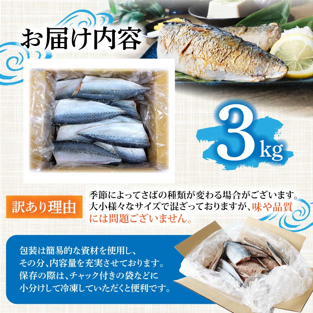 險ウ縺ゅj 蝪ゥ繧オ繝 3kg 邏18譫 縺輔ー 魃 蜻ウ莉倥″ 鬲壻サ 豬キ魄ョ 鬲 縺翫°縺 縺雁シ∝ス 縺秘」ッ 鬟溷刀 菫晏ュ倬」 邁。蜊 蝗ス逕」 蜀キ蜃 驟埼√審01426縲