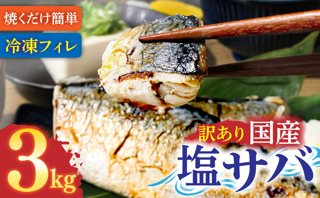 訳あり 塩サバ 3kg 約18枚 さば 鯖 味付き 魚介 海鮮 魚 おかず お弁当 ご飯 食品 保存食 簡単 国産 冷凍 配送【R01426】