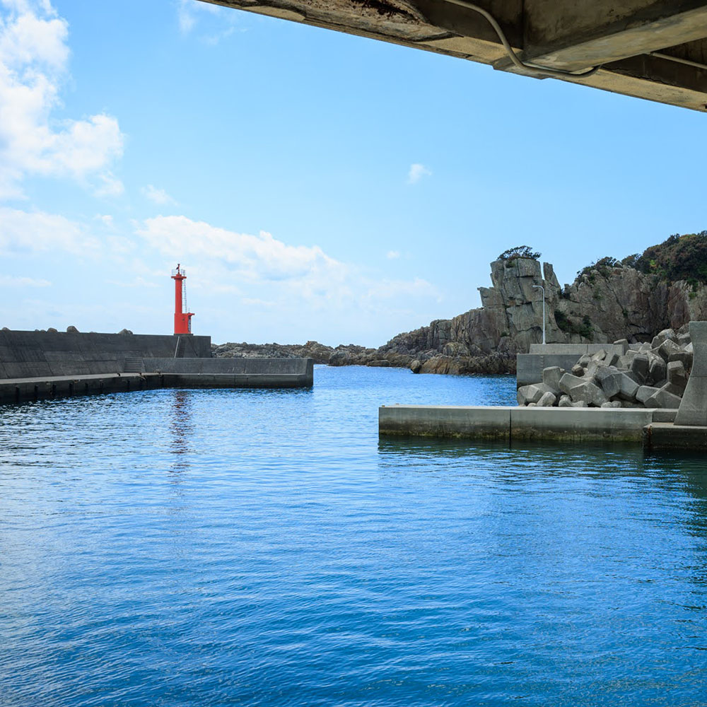 足摺地区 集落歩きツアー 1人分 観光 地元ガイド付き チケット あしずり岬 足摺半島 漁港 伊佐漁港 家族旅行 旅行 国内旅行 自然 神社 文化 徒歩 高知県 高知 土佐清水市 足摺岬【R01502】