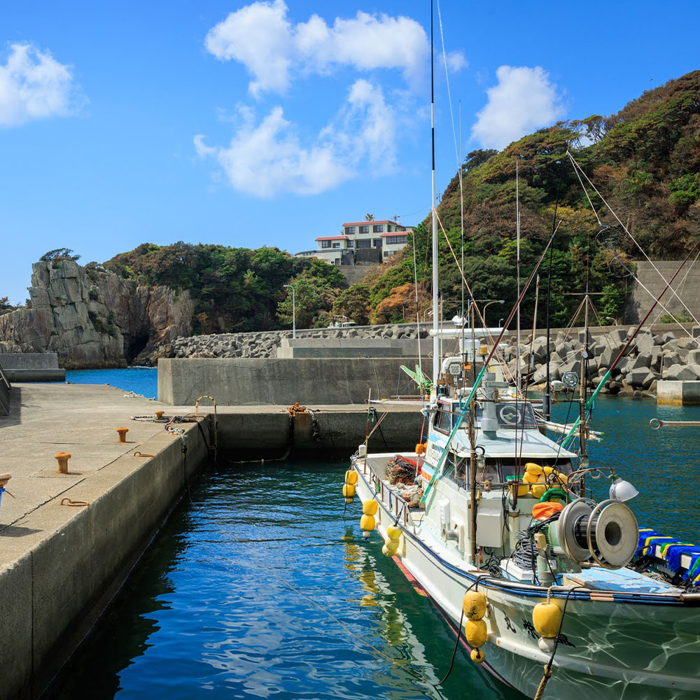 足摺地区 集落歩きツアー 1人分 観光 地元ガイド付き チケット あしずり岬 足摺半島 漁港 伊佐漁港 家族旅行 旅行 国内旅行 自然 神社 文化 徒歩 高知県 高知 土佐清水市 足摺岬【R01502】