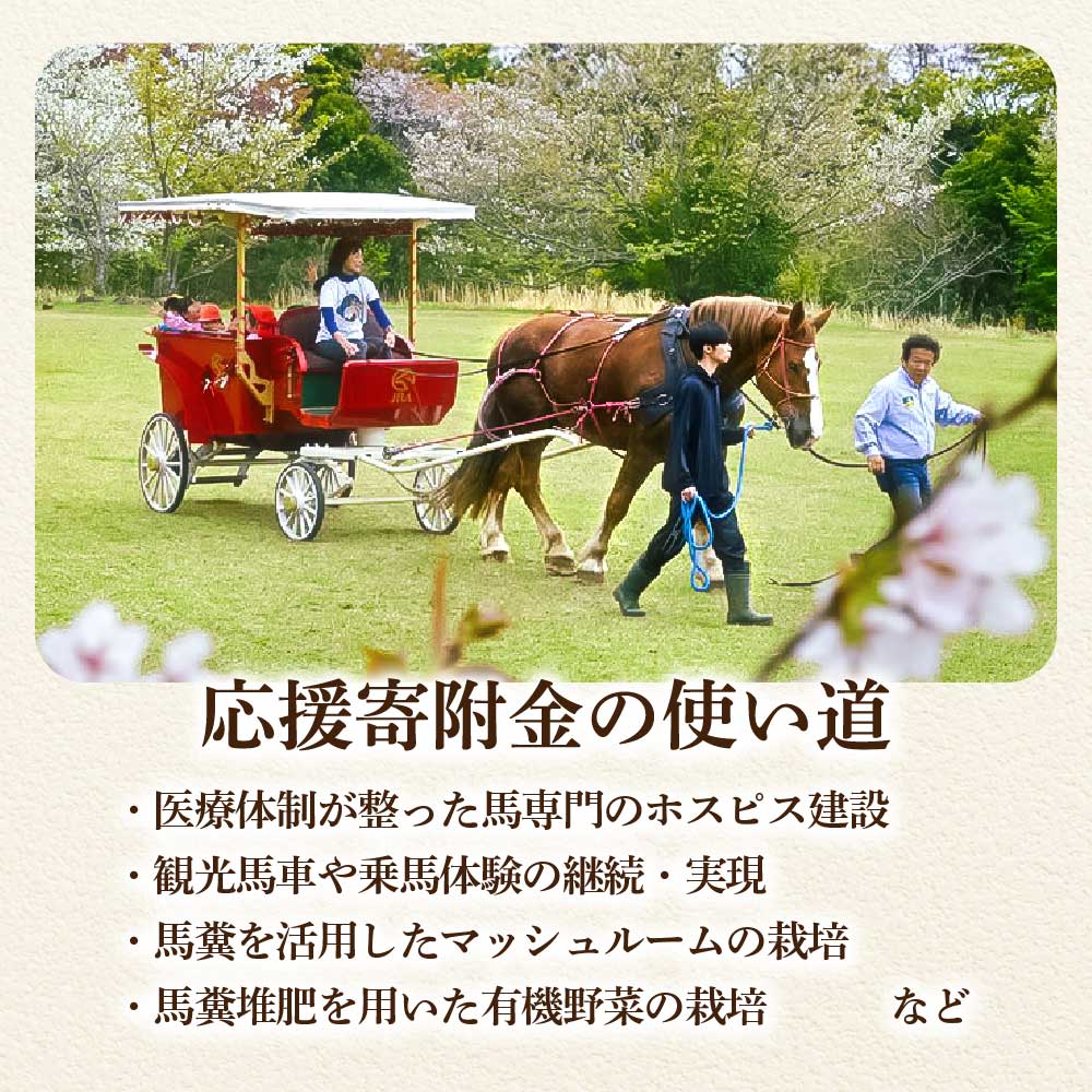 蠑暮鬥ャ 菴咏函謾ッ謠エ 100,000,000蜀繧ウ繝シ繧ケ 霑皮、シ蜩√↑縺 鬢願鬥ャ 遶カ襍ー鬥ャ 蠑暮遶カ襍ー鬥ャ 鬥ャ謾ッ謠エ 遶カ鬥ャ 鬥ャ 縺縺セ 繧ヲ繝 鬥ャ謾ッ謠エ 蜍慕黄 縺ゅ@縺壹j繝繝繧」繝シ迚ァ蝣エ 鬮倡衍逵 蝨滉ス先ク豌エ蟶ゅ審01535縲