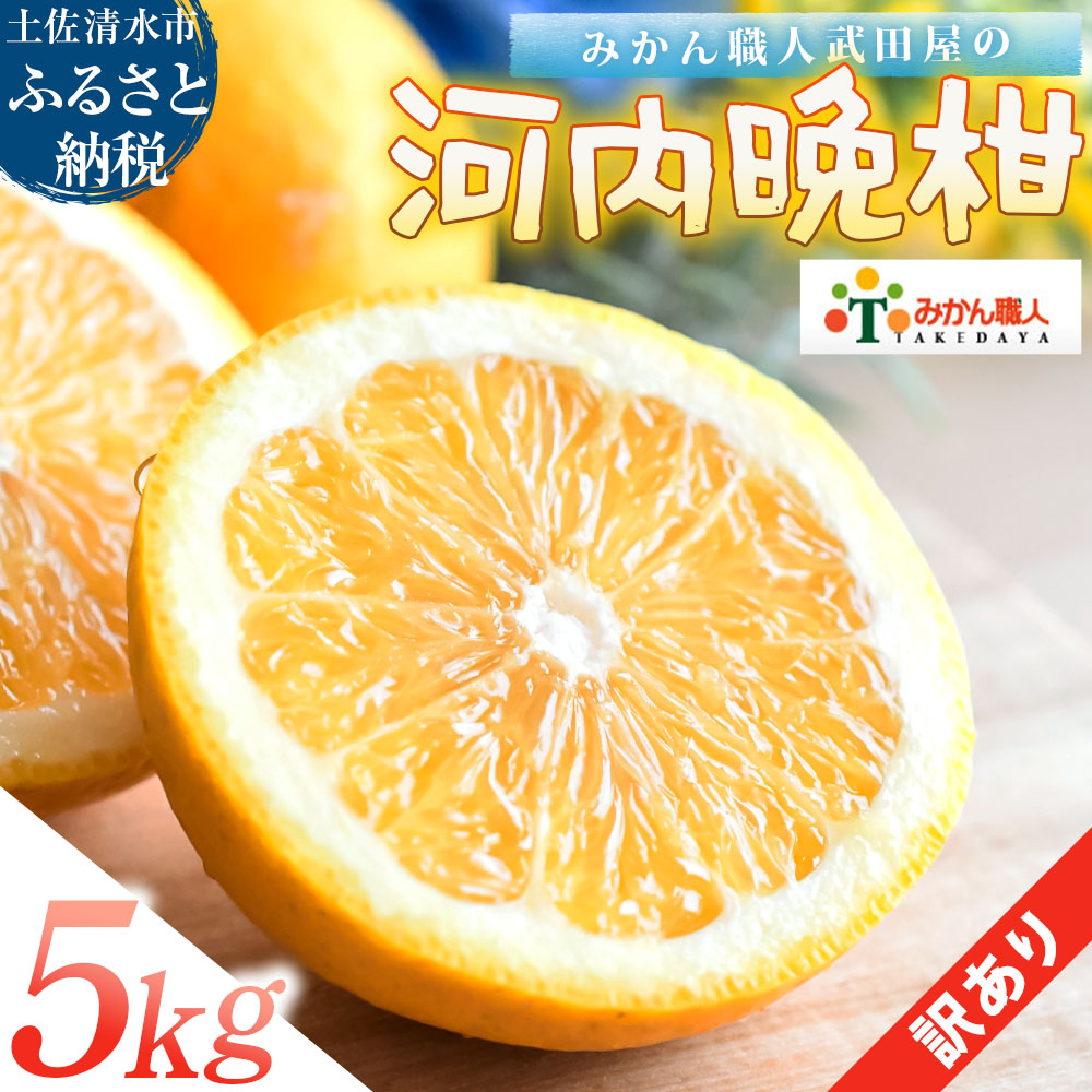 訳あり 河内晩柑 5kg サイズミックス 晩柑 かわちばんかん 柑橘 和製 グレープフルーツ 国産 みかん 果物 果実 フルーツ 特産品 有名 みかん職人武田屋 おいしい ビタミン 傷あり 家庭用 減農薬【R01616】