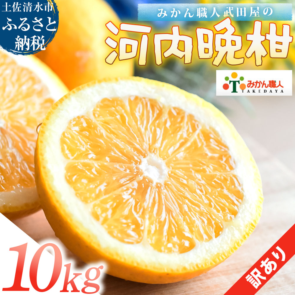 訳あり 河内晩柑 10kg サイズミックス 晩柑 かわちばんかん 柑橘 和製 グレープフルーツ 国産 みかん 果物 果実 フルーツ 特産品 有名 みかん職人武田屋 おいしい ビタミン 傷あり 家庭用 減農薬【R01617】