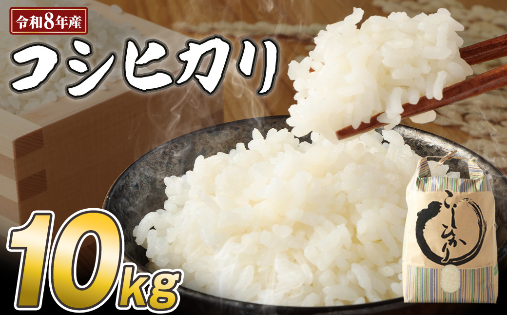 令和8年産 コシヒカリ精米10kg 白米 お米 ご飯 米 kome こめ コシヒカリ こしひかり 高知県産 10キロ 故郷納税 返礼品 高知 土佐清水市 【R01623】