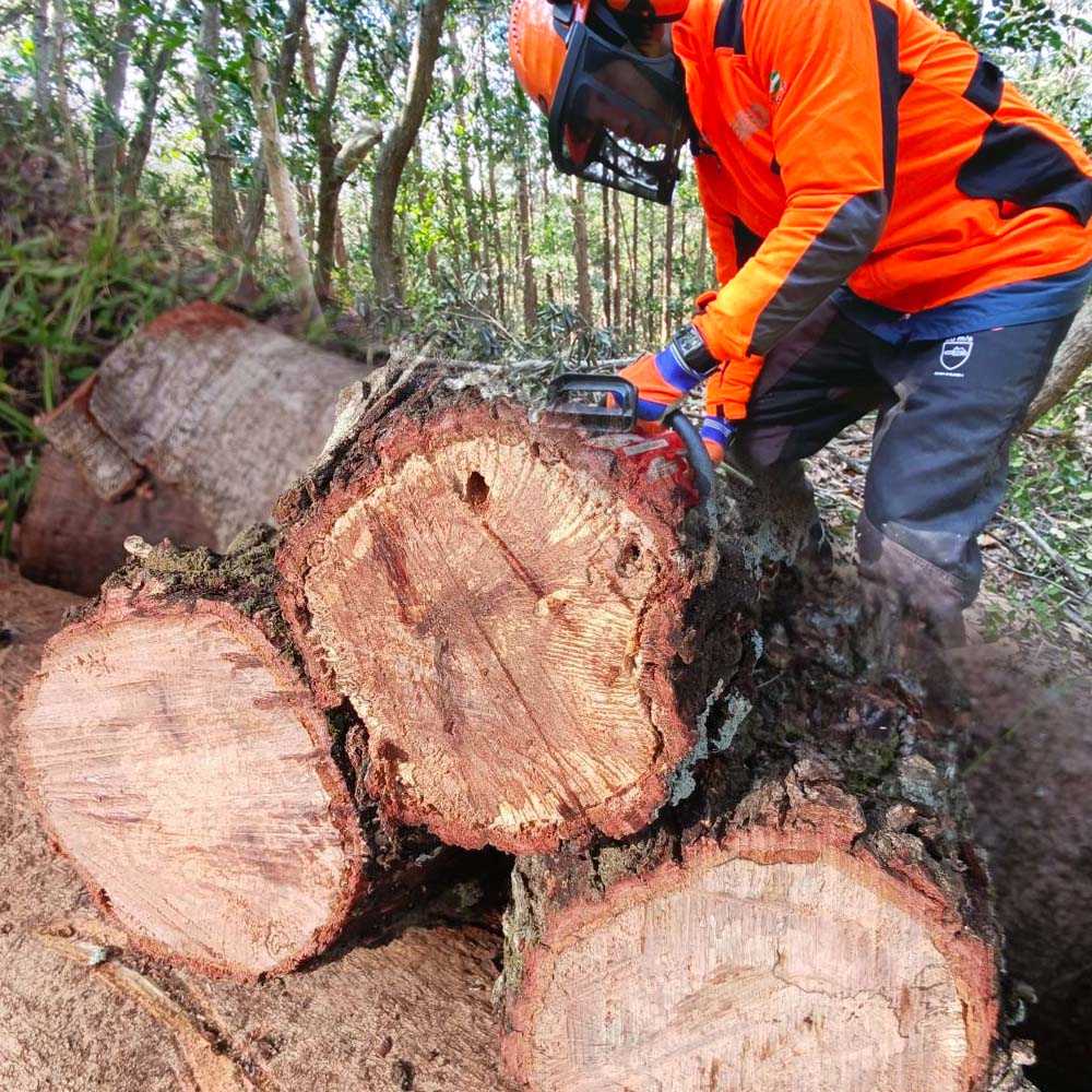 åºèæš¹èª 15kg 15ãã çŽ30cm ãŸã çãç« ããã³ ãã£ã³ã èªã¹ããŒã æç å²çè£ ã¢ãŠãã㢠ããŒããã¥ãŒ BBQ çœå®³åè é²çœã°ã㺠åºèæš¹ æšæ çæ åœç£ãR01659ã