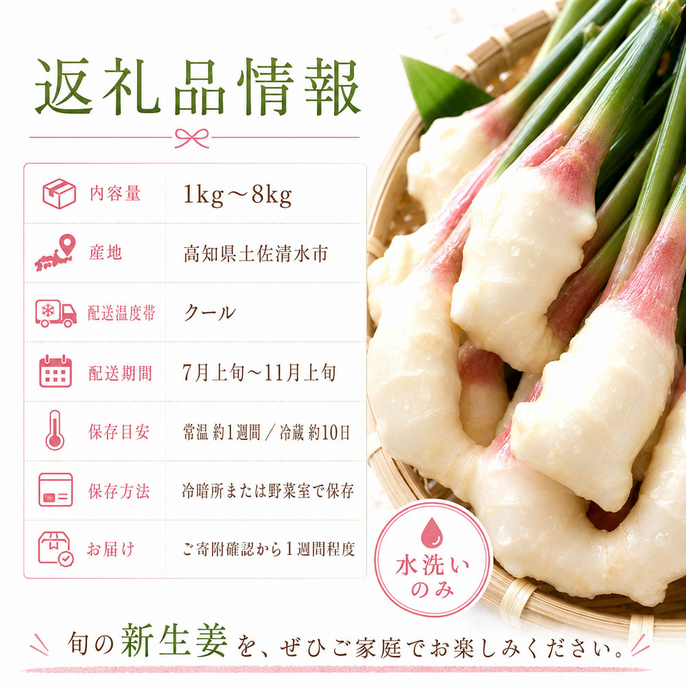 æ°çå§ 4kg æ°ŽæŽãã®ã¿ çå§ çå§æ¹¯ ãžã³ãžã£ãŒ ãããã ã·ã§ãŠã¬ 4ãã éè æ¬ å£ç¯éå® äœç
® çé
¢æŒ¬ã ãžã³ãžã£ãŒãšãŒã« ãµã©ã æ°é®® æž©ãŸã 枩掻 å·ã察ç åœç£ é«ç¥ç åäœæž
æ°Žåž éæç¡æãR01774ã