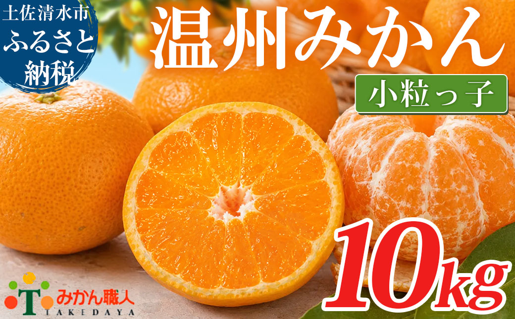 温州みかん 小粒っ子 10kg 傷み補償 300g 柑橘 果物 フルーツ 不揃い オレンジ 訳アリ 蜜柑 果実 みかん 極早生 早生 晩生 光センサー選果 みかん職人武田屋 高知県 土佐清水市【R01792】
