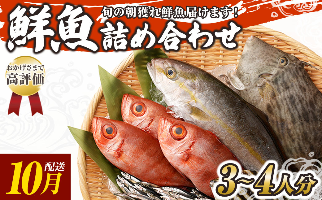 旬の朝獲れ鮮魚詰め合わせ 2026年10月配送※着日指定不可【以布利定置網　漁師直送】朝獲れ 旬 鮮魚 魚介 海鮮 魚 さかな せんぎょ 鮮魚セット 詰め合わせ おまかせ お任せ【S00818-10】