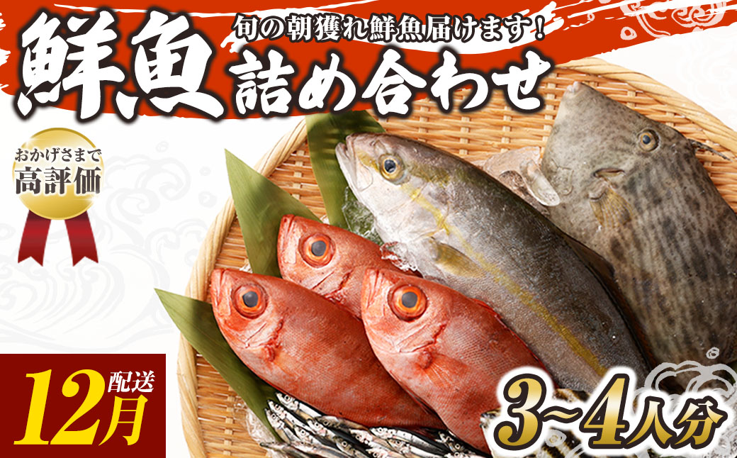 旬の朝獲れ鮮魚詰め合わせ 2025年12月配送【以布利定置網　漁師直送】朝獲れ 旬 鮮魚 魚介 海鮮 魚 さかな せんぎょ 鮮魚セット 詰め合わせ おまかせ お任せ【S00818-12】