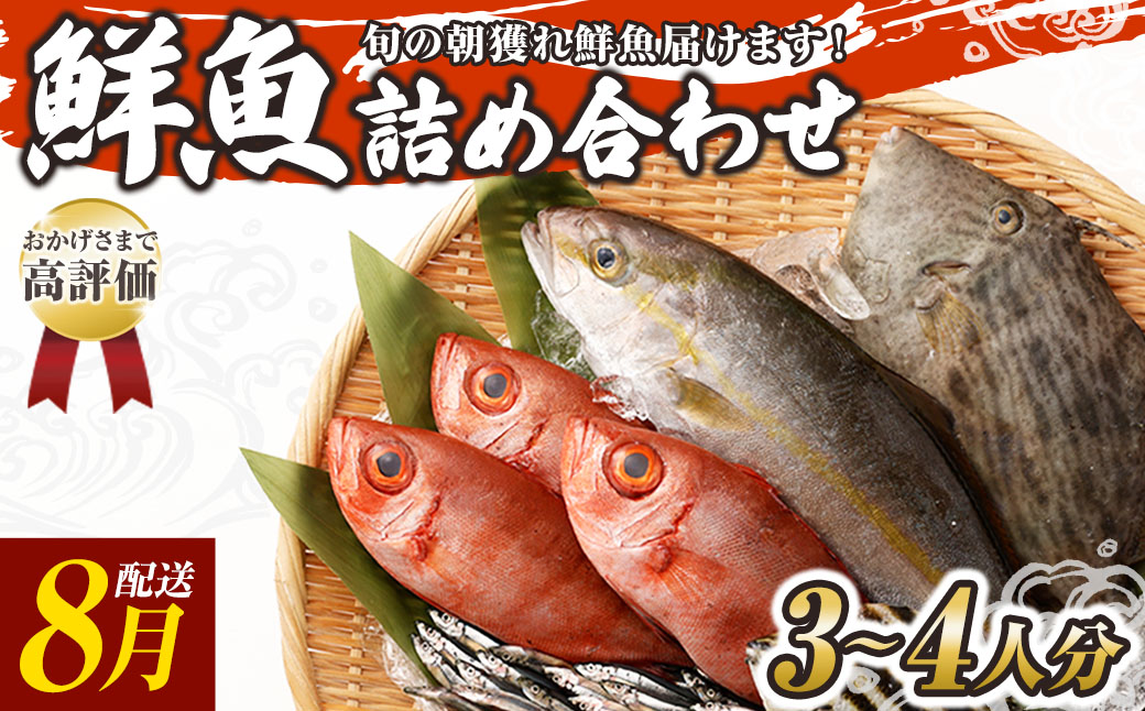 旬の朝獲れ鮮魚詰め合わせ 【2026年8月配送※着日指定不可】【以布利定置網　漁師直送】朝獲れ 旬 鮮魚 魚介 海鮮 魚 さかな せんぎょ 鮮魚セット 詰め合わせ おまかせ お任せ【S00818-8】